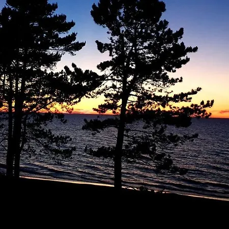 Apartment Golden Pearl