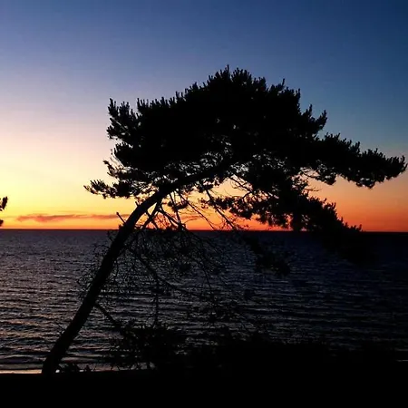 Golden Pearl Apartment Gaski (Koszalin)